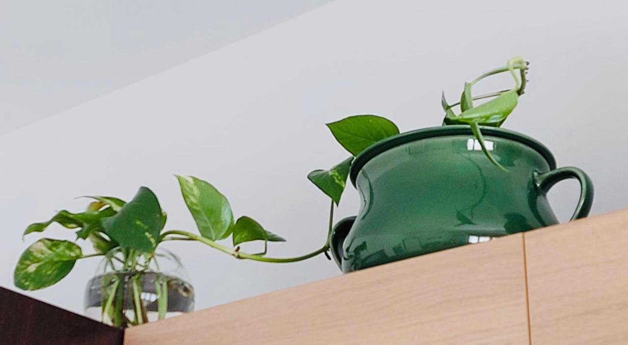 Vistamare Apartments ريجّو دي كالابريا المظهر الخارجي الصورة